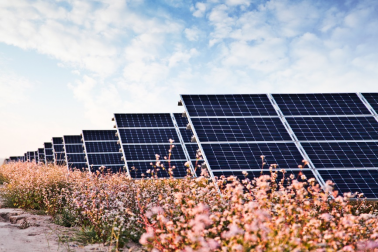 中國(guó)華能的“高性價(jià)比”光伏電站，妙招在這里！